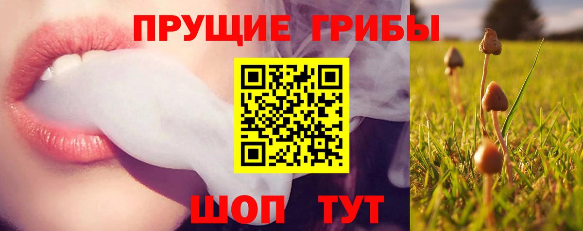 Псилоцибиновые грибы ЛСД Усолье-Сибирское